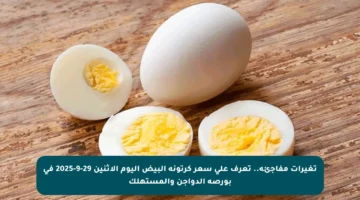 تغيرات مفاجئة.. تعرف على سعر كرتونة البيض اليوم الاثنين 29-9-2025 في بورصة الدواجن والمستهلك